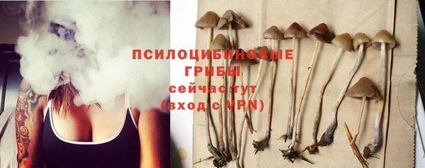 а пвп мука Алзамай