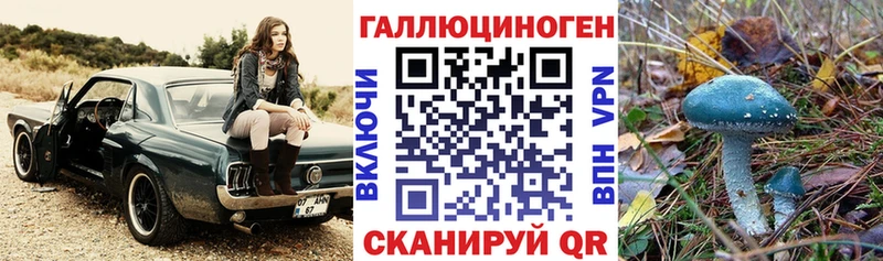 ОМГ ОМГ ТОР  купить   Волжский  Псилоцибиновые грибы Psilocybine cubensis 